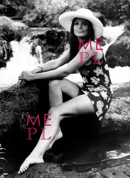 : Vicki Dauray : Vicki Dauray