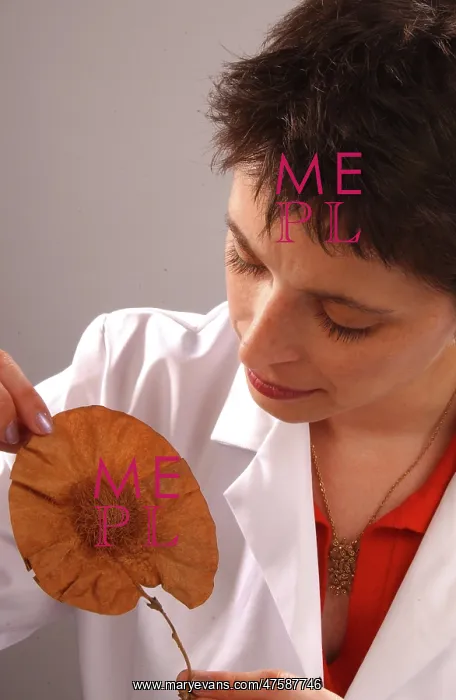 : Vicki Noble with botanical specimen : Vicki Noble with botanical specimen
