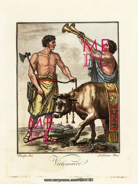 : Victimarius, an assistant at a ritual sacrifice : Victimarius, an assistant at a ritual sacrifice