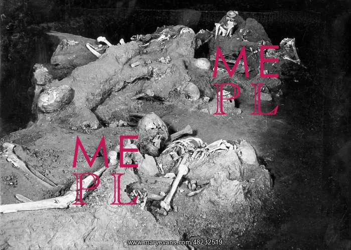 : Victims of the destruction of Pompeii : Victims of the destruction of Pompeii