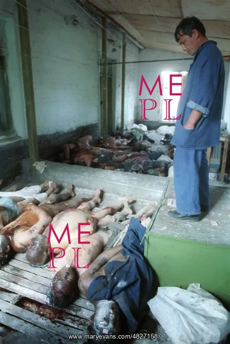 : Victims of ethnic conflict, 1990 : Victims of ethnic conflict, 1990
