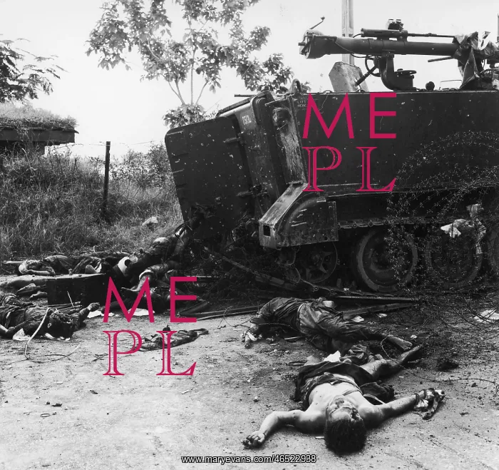 : VICTIMS OF VIET CONG : VICTIMS OF VIET CONG