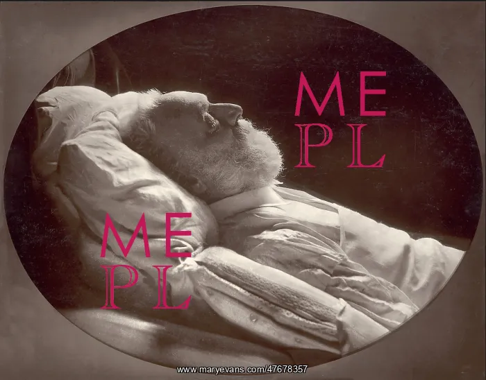 : Victor Hugo On His Deathbed, 1885 : Victor Hugo On His Deathbed, 1885