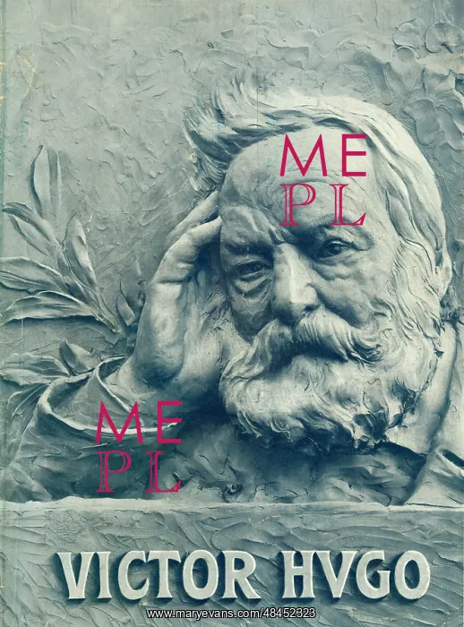 : Victor Hugo, French writer : Victor Hugo, French writer