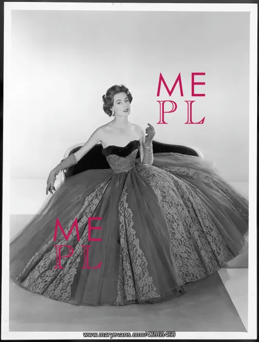 : VICTOR STIEBEL / BALLGOWN : VICTOR STIEBEL / BALLGOWN
