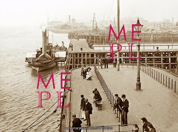  : Victoria Docks, Hull, Victorian period
