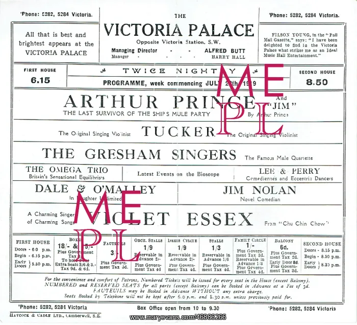 : Victoria Palace Theatre programme : Victoria Palace Theatre programme