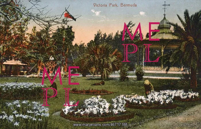 : Victoria Park, Hamilton, Bermuda : Victoria Park, Hamilton, Bermuda