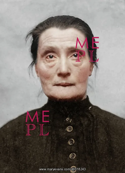 : Victorian Asylum in Colour : Victorian Asylum in Colour