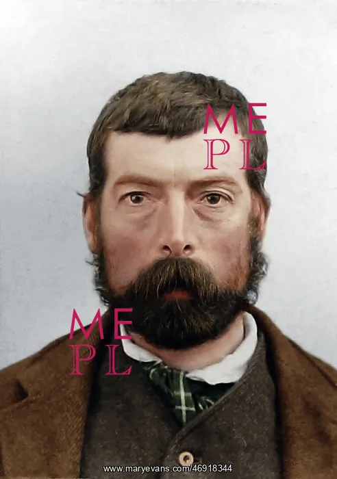 : Victorian Asylum in Colour : Victorian Asylum in Colour