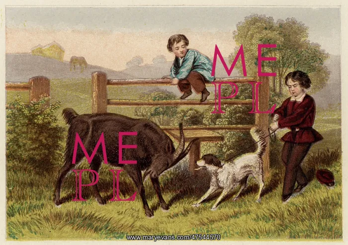  : Two Victorian boys with dog and goat