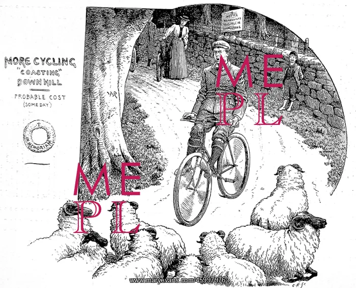 : Victorian Cyclist encountering a flock of sheep 1898 : Victorian Cyclist encountering a flock of sheep 1898