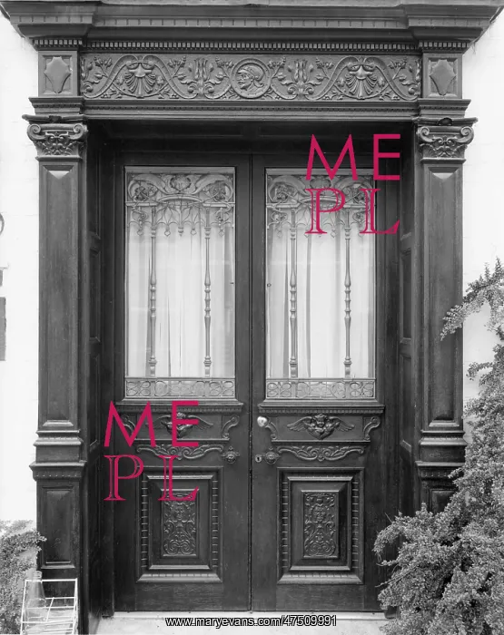 : VICTORIAN DOORS : VICTORIAN DOORS