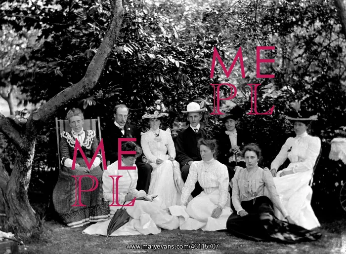 : Victorian or Edwardian family group : Victorian or Edwardian family group