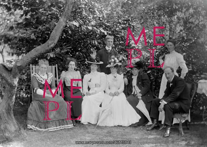 : Victorian or Edwardian family group : Victorian or Edwardian family group
