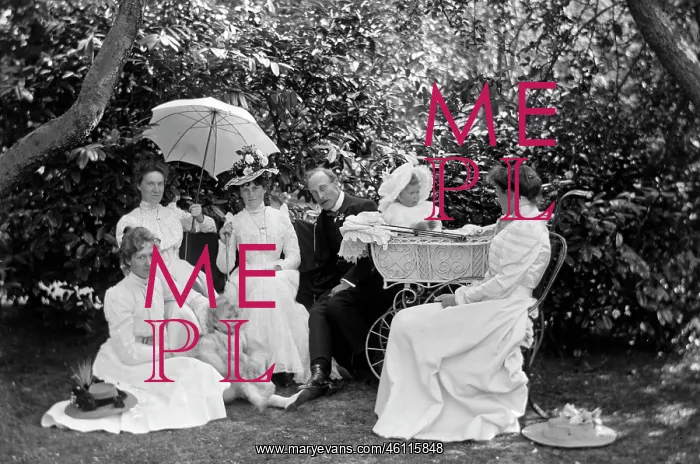 : Victorian or Edwardian family group : Victorian or Edwardian family group