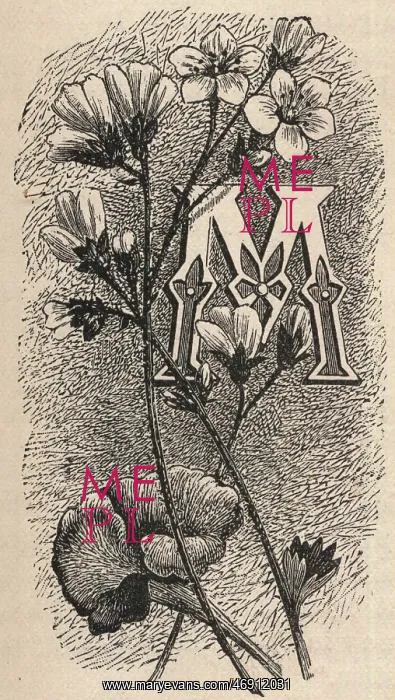 : Victorian Ephemera - 1894, M, font, typeface : Victorian Ephemera - 1894, M, font, typeface