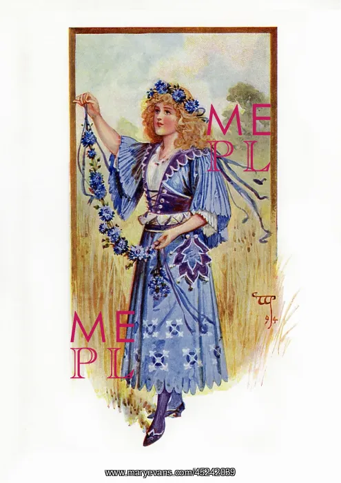 : Victorian floral dress : Victorian floral dress