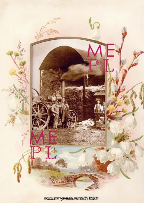  : Victorian floral greetings card design, A6 size, No. 29