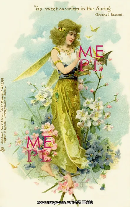 : Victorian flower fairies : Victorian flower fairies