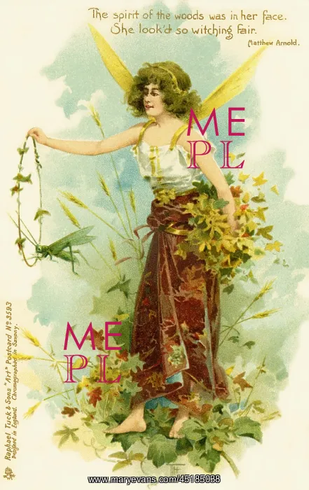 : Victorian flower fairies : Victorian flower fairies