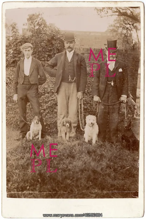 : Three Victorian men with four assorted dogs : Three Victorian men with four assorted dogs