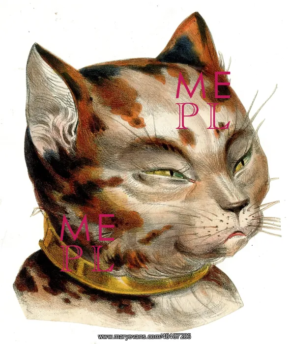  : Victorian scrap, cat's head