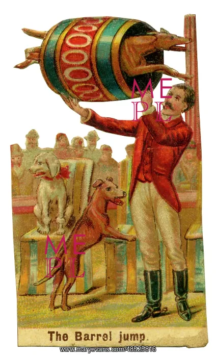  : Victorian scrap, Circus dogs in barrel jump