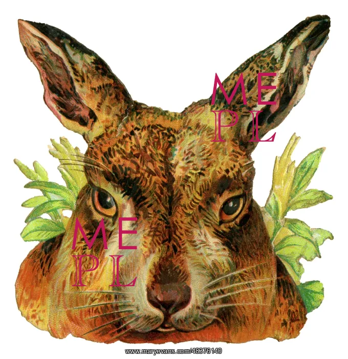  : Victorian Scrap - Head of Hare