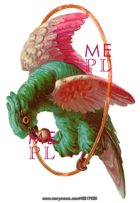  : Victorian Scrap, parrot on a hoop perch