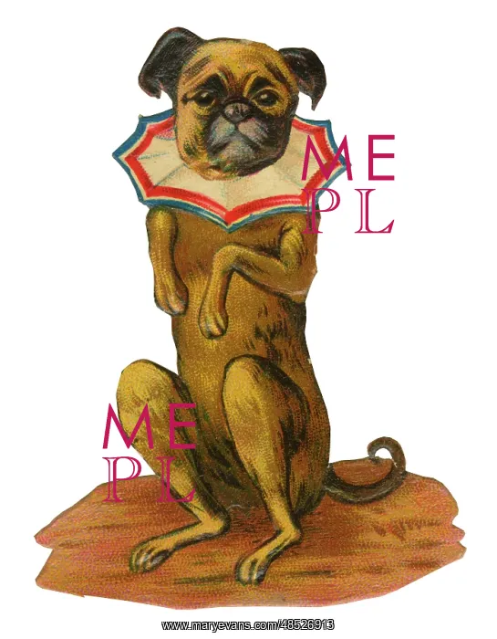  : Victorian Scrap, performing dog