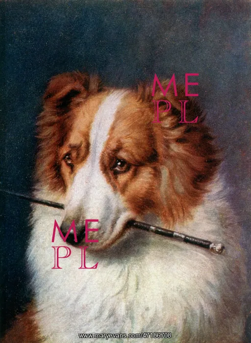  : VICTORIA'S DOG OSCAR