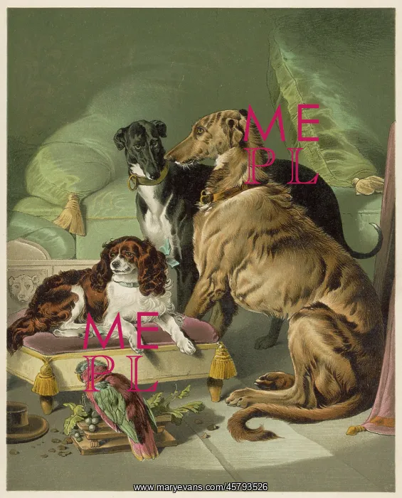  : VICTORIA'S DOGS