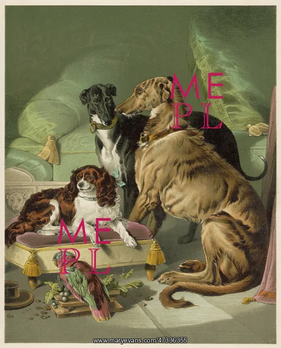 : VICTORIA'S DOGS : VICTORIA'S DOGS