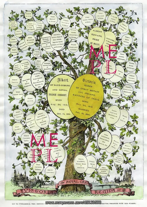 : VICTORIA'S FAMILY TREE : VICTORIA'S FAMILY TREE