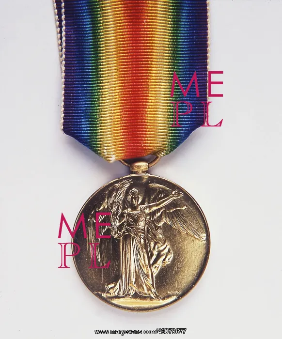 : Victory Medal, UK (Obverse) : Victory Medal, UK (Obverse)