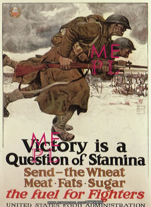 : Victory is a Question of Stanima : Victory is a Question of Stanima