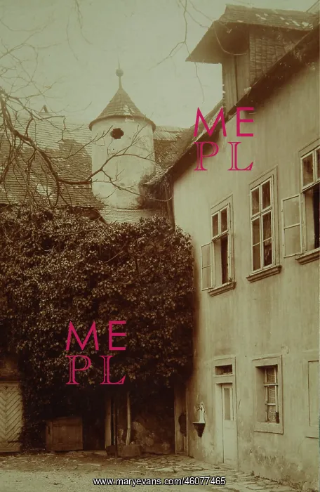 : Vienna 19 Heiligenstadt. Old courtyard in the : Vienna 19 Heiligenstadt. Old courtyard in the