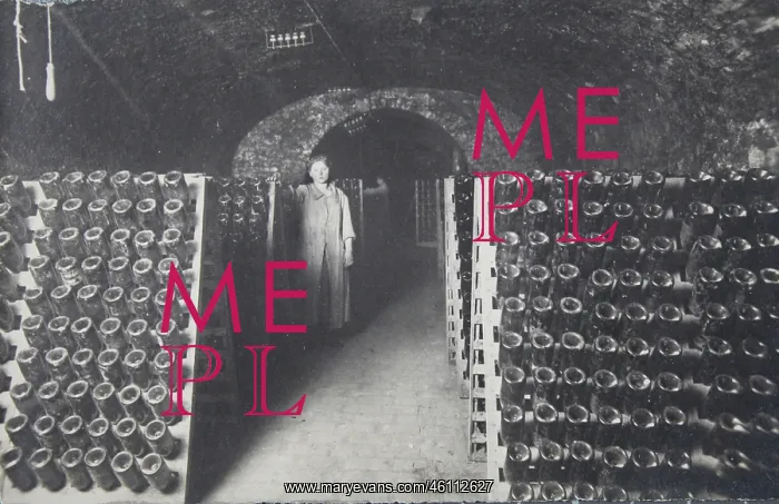 : Vienna 19 - Wine cellar of the wine saler : Vienna 19 - Wine cellar of the wine saler