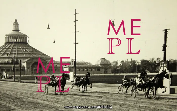 : Vienna 2: trotting races in the Krieau, in : Vienna 2: trotting races in the Krieau, in