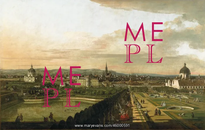 : Vienna from the Belvedere : Vienna from the Belvedere