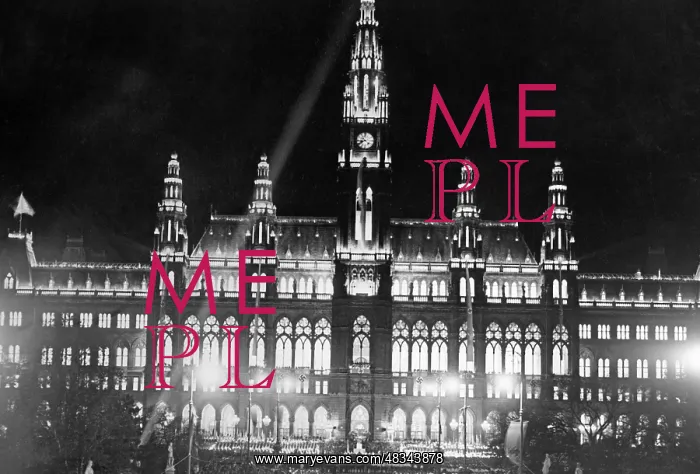 : Vienna City Hall, 1938 : Vienna City Hall, 1938
