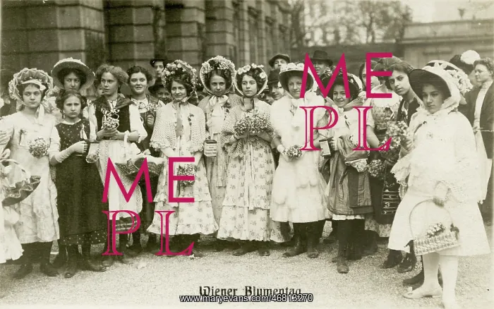 : Vienna Flower Day : Vienna Flower Day