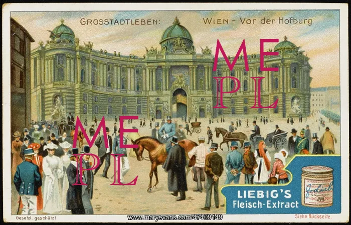 : VIENNA, HOFBURG : VIENNA, HOFBURG