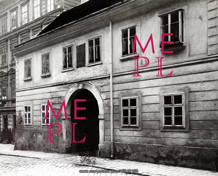 : Vienna: House in the suburbs : Vienna: House in the suburbs