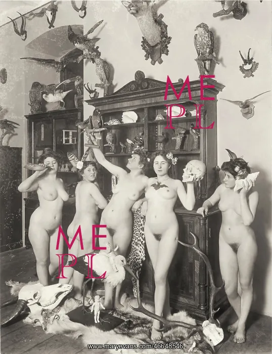 : Vienna Nackedeien (Viennese nude study) of the Austrian? : Vienna Nackedeien (Viennese nude study) of the Austrian?