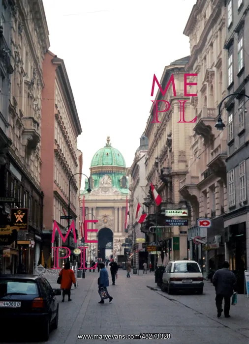 : Vienna in pictures : Vienna in pictures