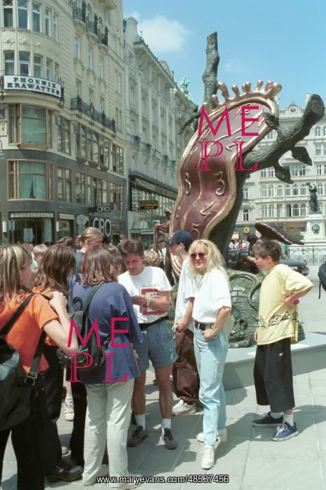 : Vienna in pictures : Vienna in pictures