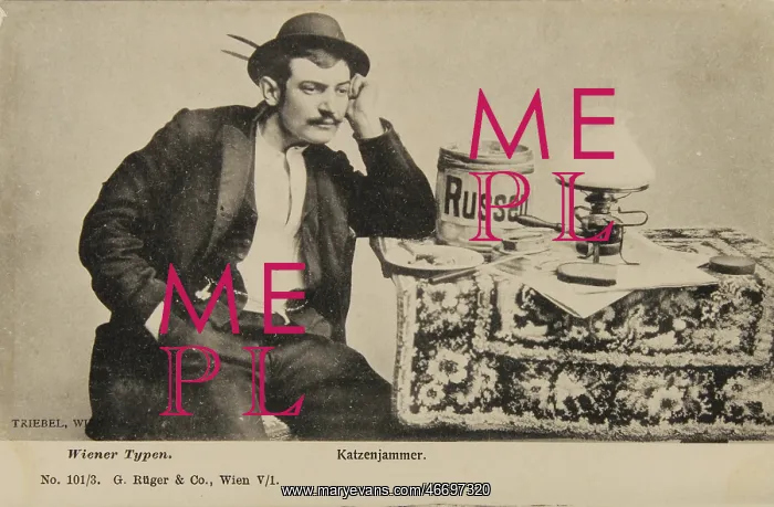 : Vienna types. Katzenjammer. 1902 : Vienna types. Katzenjammer. 1902