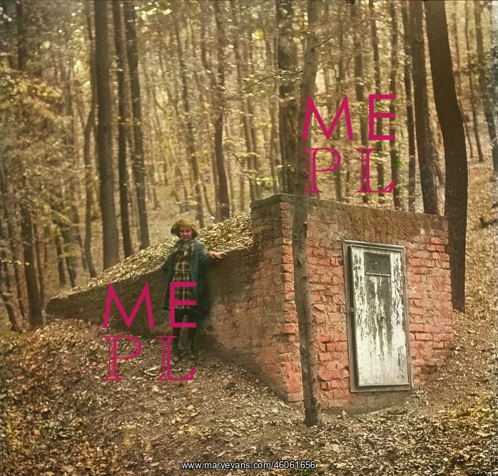 : Well in the Vienna woods : Well in the Vienna woods